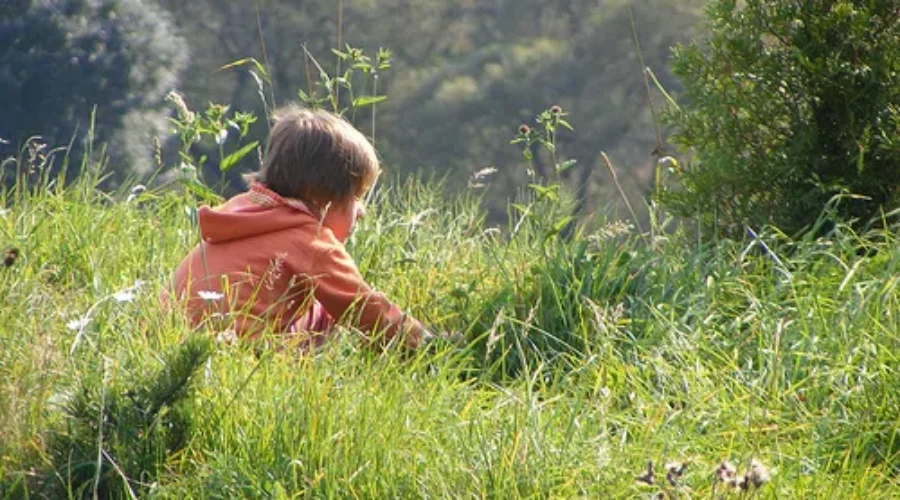 Social Development Minister Accepts Recommendations