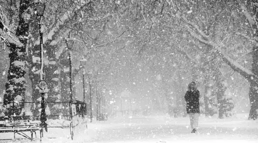 Heavy Snow Closes Schools Across Region