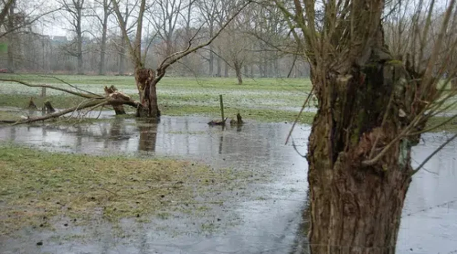 Report Damage From Heavy Rainfall