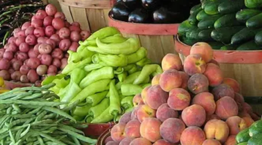 What Will A New Canada Food Guide Contain?