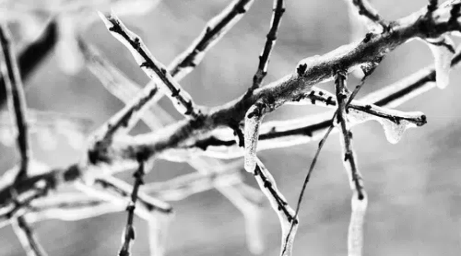 Another Storm To Bring Snow, Freezing Rain, Ice Pellets And Rain To The Province