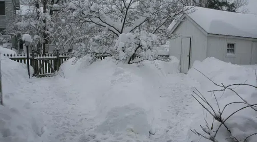 Snow Across NB Closes School Again