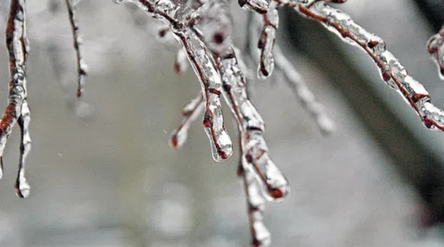 Freezing Rain Closes Schools Across NB