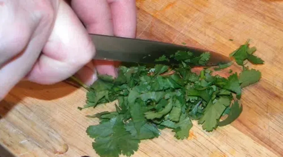 It’s NBCC Food Truck Week In Moncton
