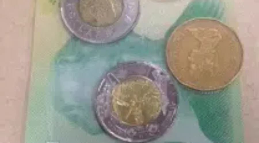 Pay Equity Recommended For Private Sector