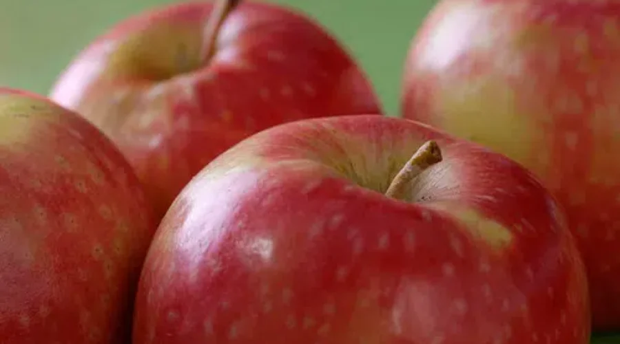 Supporting Local Producers With The “Big Crunch”