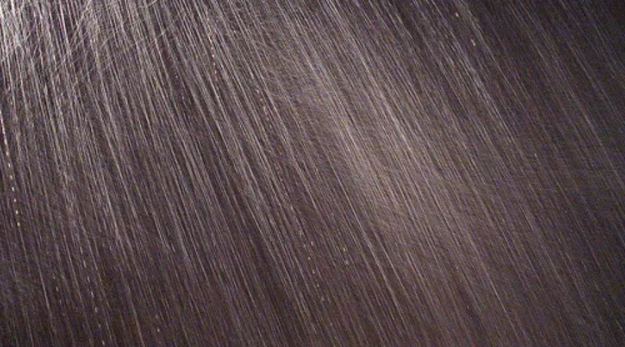 The Province Offers Help With January Storm Damage