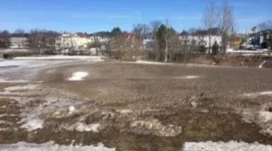 Happy First Day of Spring!