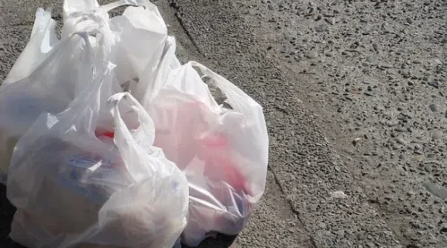 Proposed Ban On Single-Use Plastic Bags