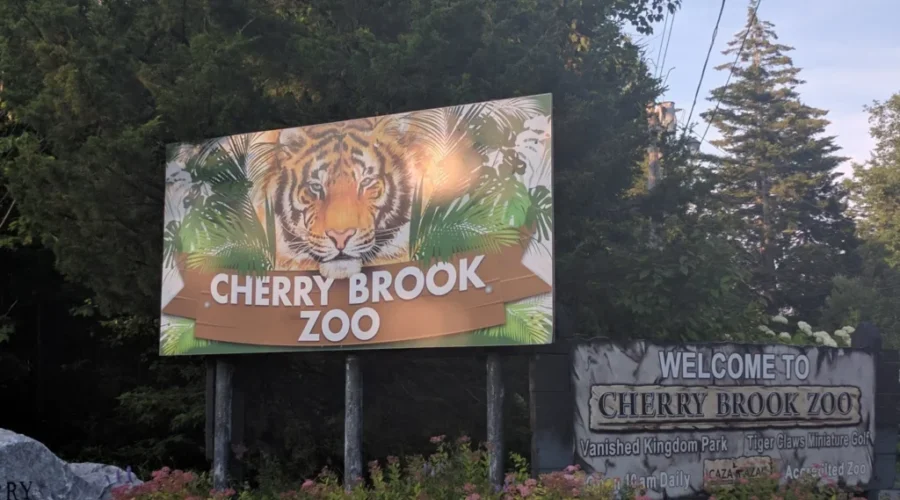 No Charges In Zoo Guinea Pig Deaths