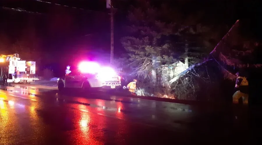 Lights Go Out After Car Hits Tree