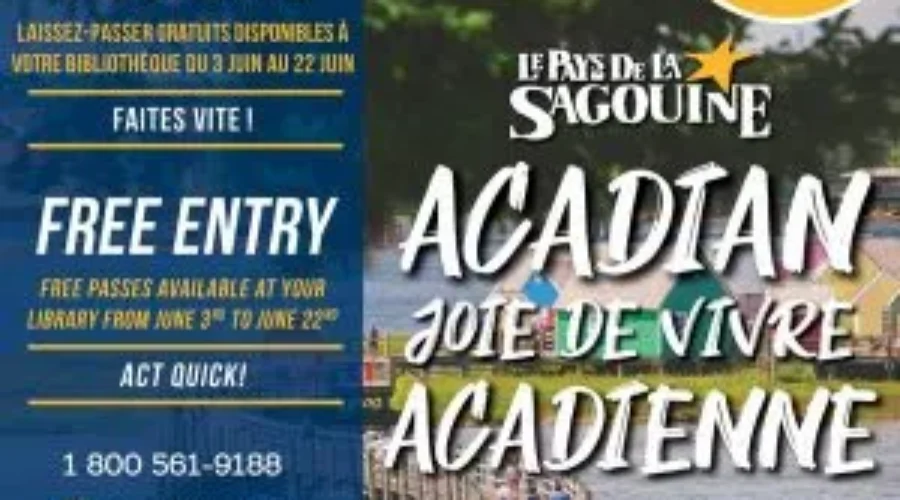 Look What You Can Get From the Library!