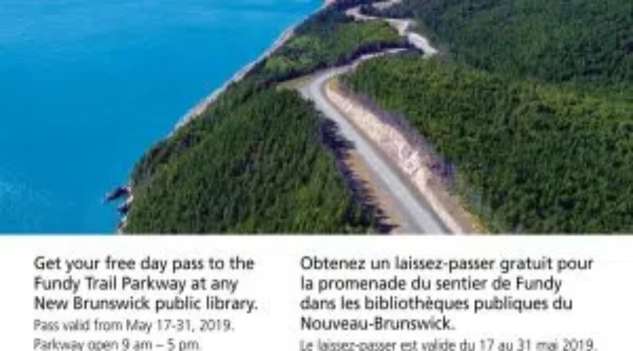 Look What You Can Get From the Library!