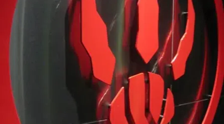 Moncton Woman Experiences Raptors Fever In Toronto