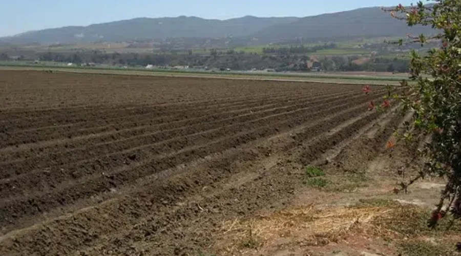 Cold, Wet Weather Delays Spring Planting In NB