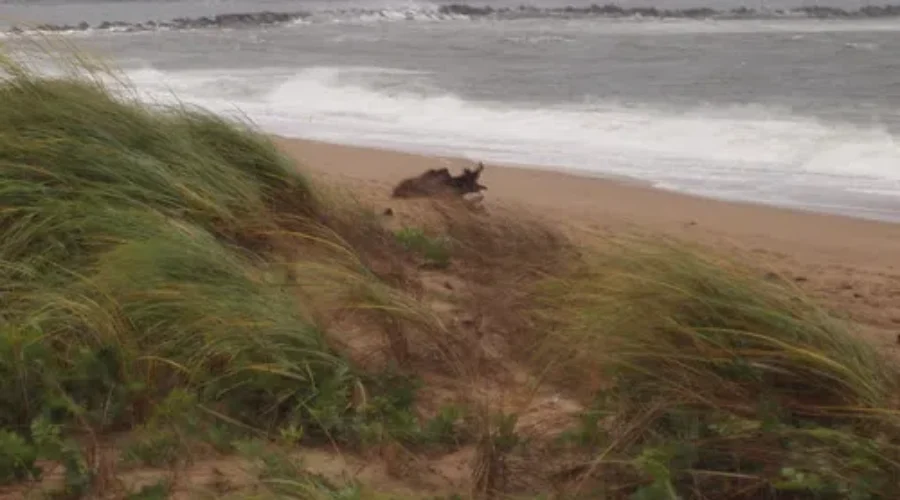 Hurricane Season May Bring 15 Named Storms