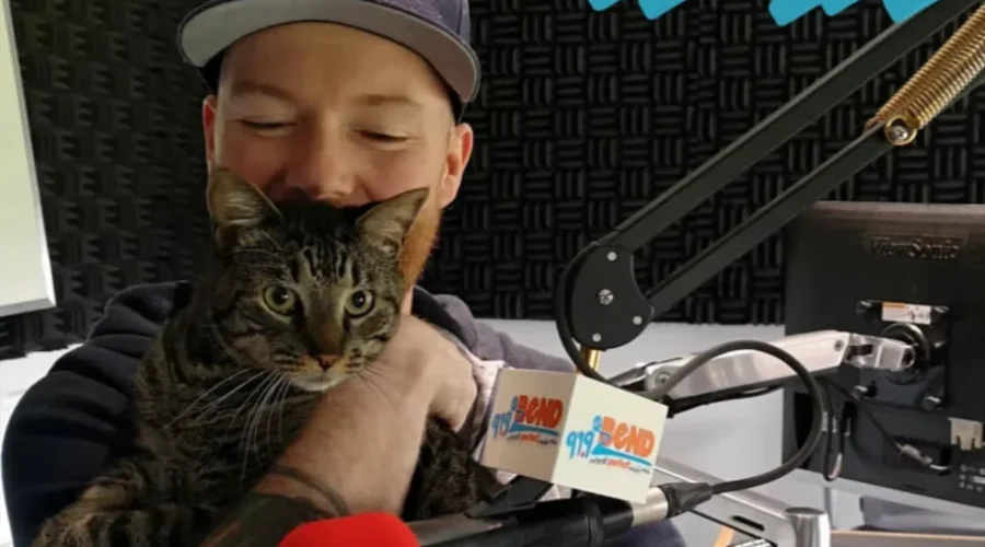 SHARE THIS SPCA VIDEO: Meet Bronson!