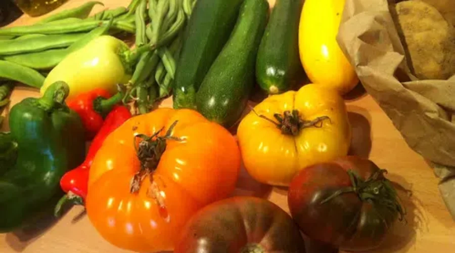 Food Bank Expands Garden Box Initiative