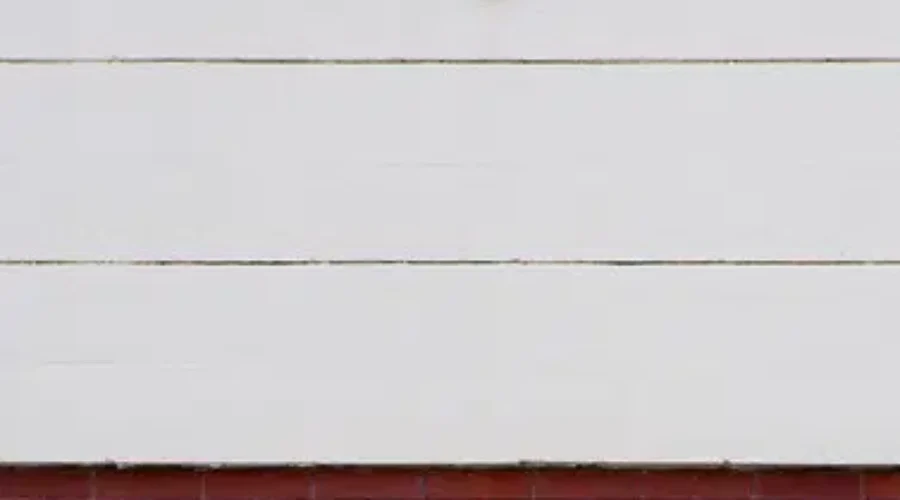 Food Depot Numbers In NB Appear Steady