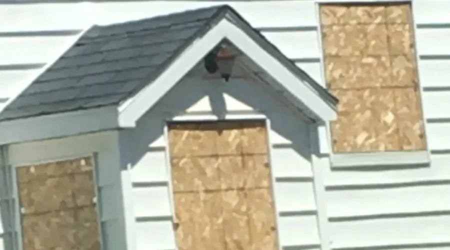 Landlords Needed For Affordable Rental Unit Project