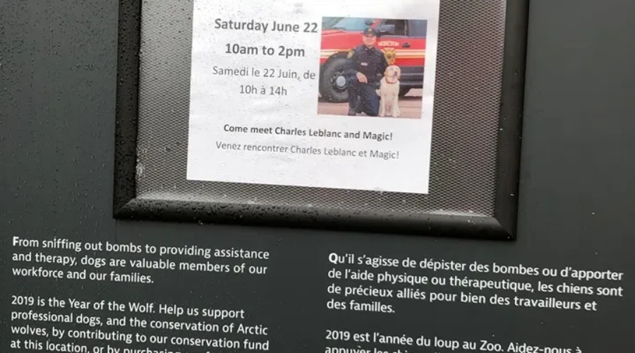 Canine Heroes at Magnetic Hill Zoo