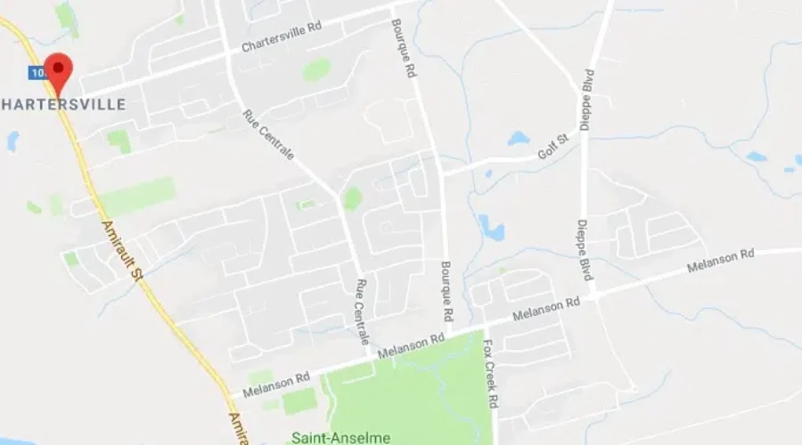 Bear Sighting In Dieppe