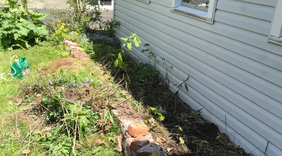 Gen’s garden before and after photos