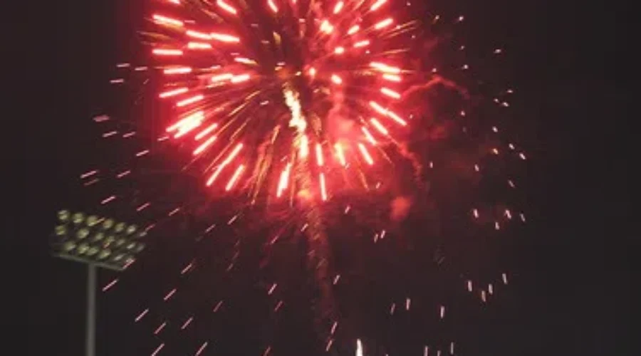 Vet Offers Tips For Pet Owners During Fireworks