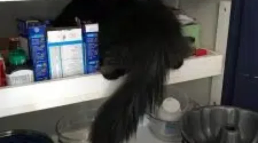 Organized my pantry yesterday morning