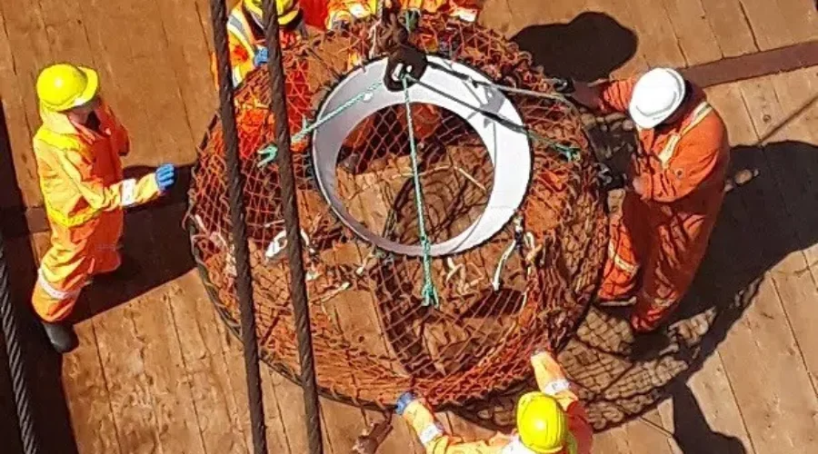 DFO Recovers “Ghost Gear” From Gulf In Attempt To Protect North Atlantic Right Whales