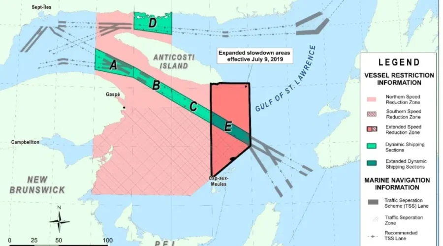 Increased Regulations Introduced To Protect North Atlantic Right Whales