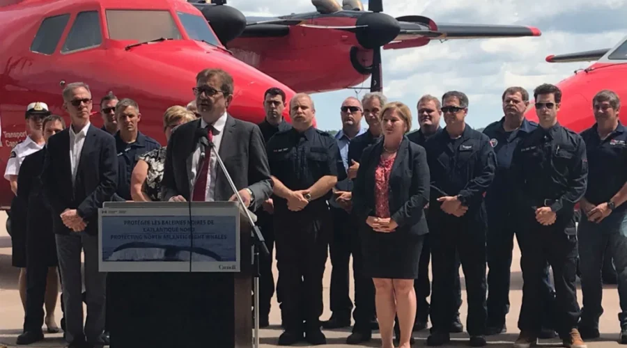 Ongoing Efforts To Protect North Atlantic Right Whales