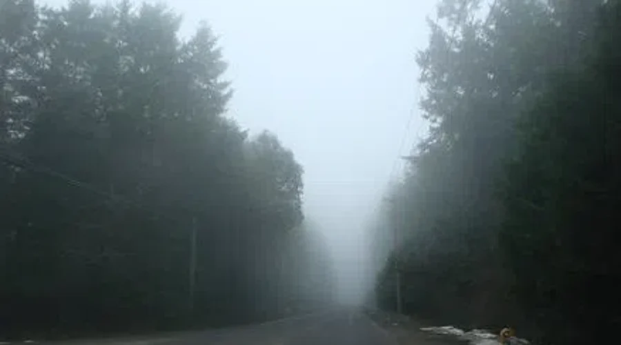 Cape Enrage To Build Fog-Harnessing Fence