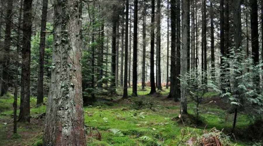 Nature Conservancy Looking To Expand Their Reserve