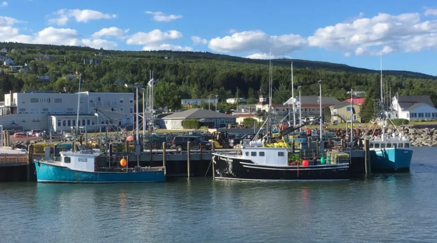 New Lease On Life For Alma – Mayor