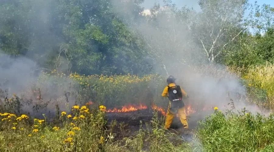 Cause Of Grass Fire Unknown