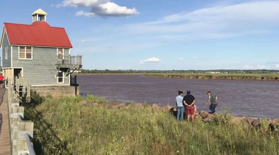 VIDEO: SCOW ON THE PETITCODIAC