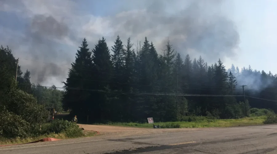 Fire Destroys Buildings At Penobsquis Sawmill
