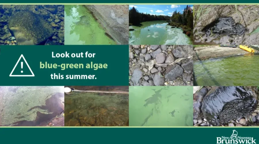 Recreational Activities Suspended At Irishtown Nature Park