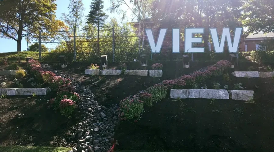 Notice Anything Missing In Riverview This Week?