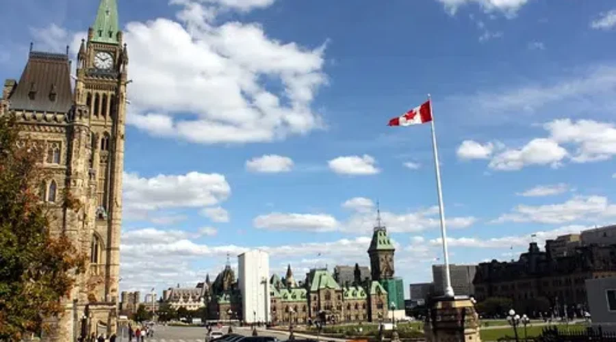 A Look At The Federal Candidates In N.B.