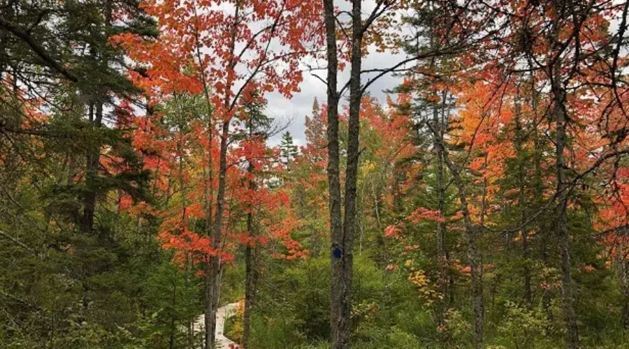 Autumn Starting To Show Its True Colours