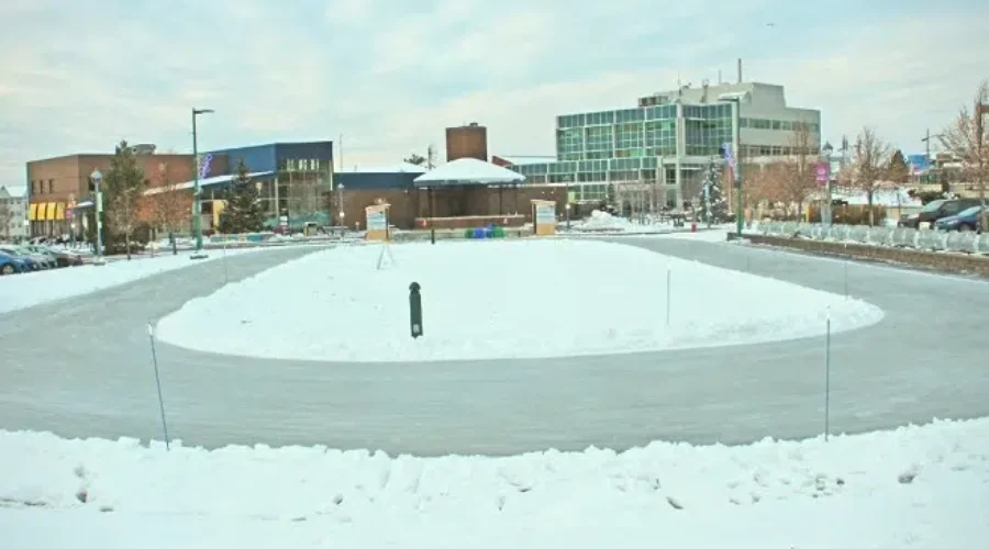 Dieppe Replacing Trees Around Place 1604