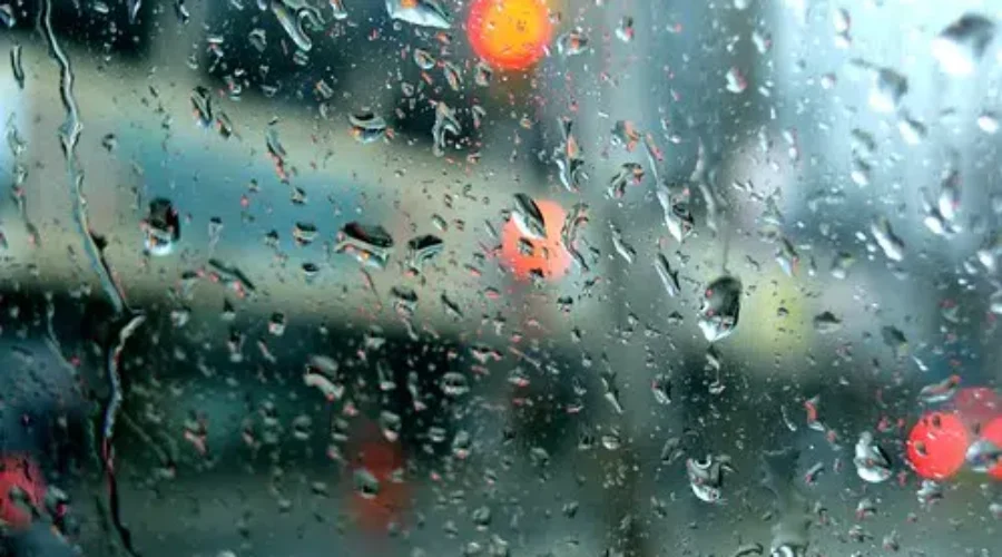 Rain And Wind Storm Packs A Punch In Southern NB