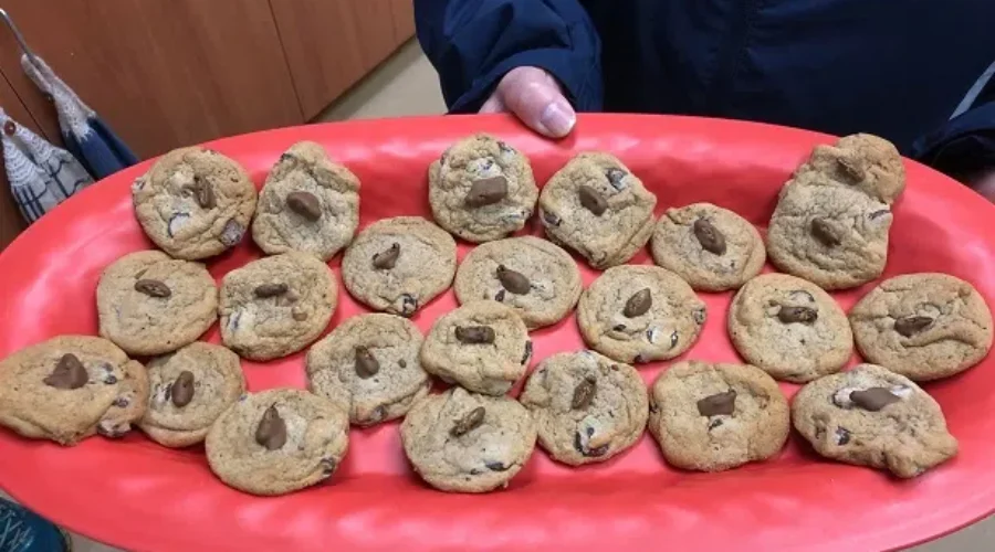 Try Some Of Magnetic Hill Zoo’s Boo Bugs !