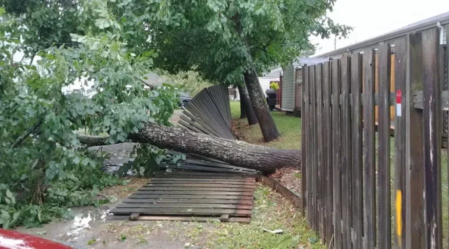 Dorian Insurance Claims Top $105M