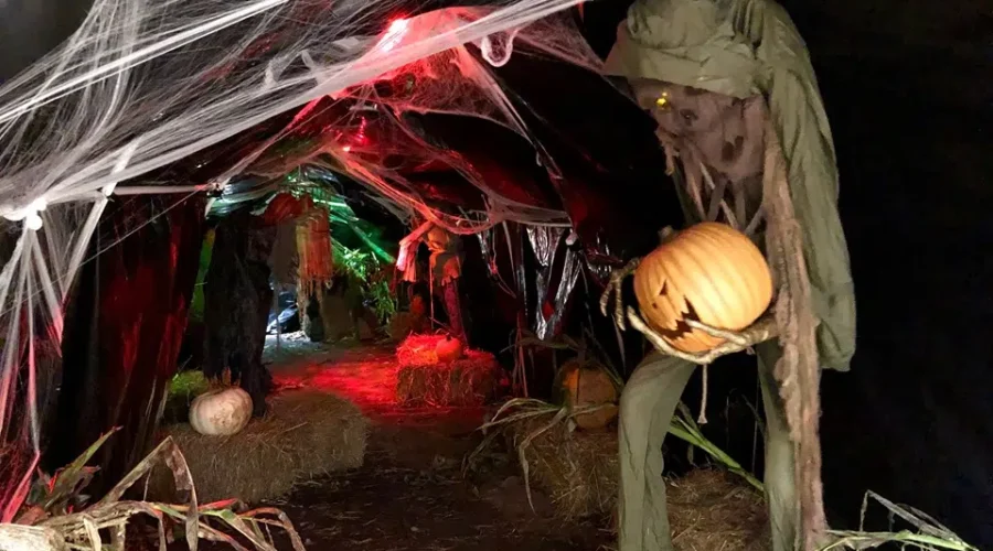 Boo At The Zoo Returns For Another Year Of Spooky Fun