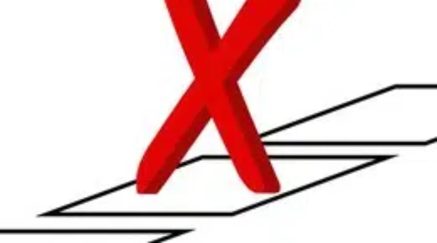 Learning The Political Process With Student Vote 2019