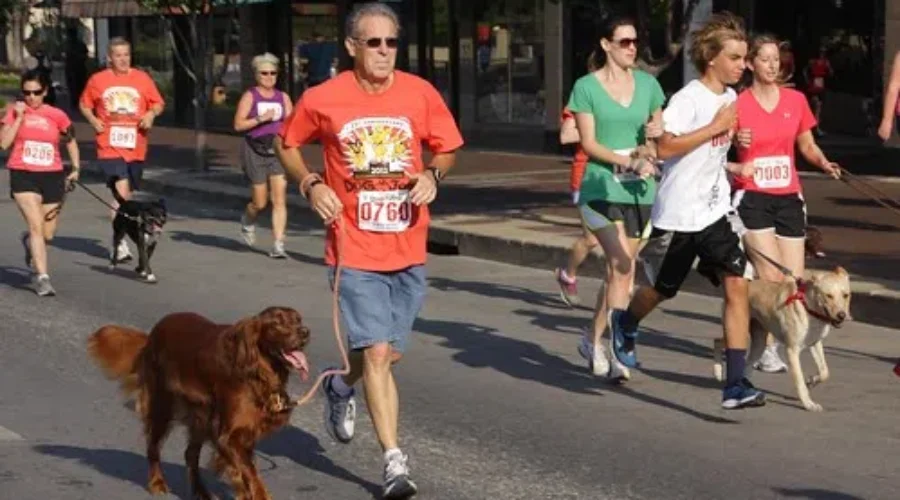 Dogs And Runners Team Up To Support Fulfilling Hearts Rescue