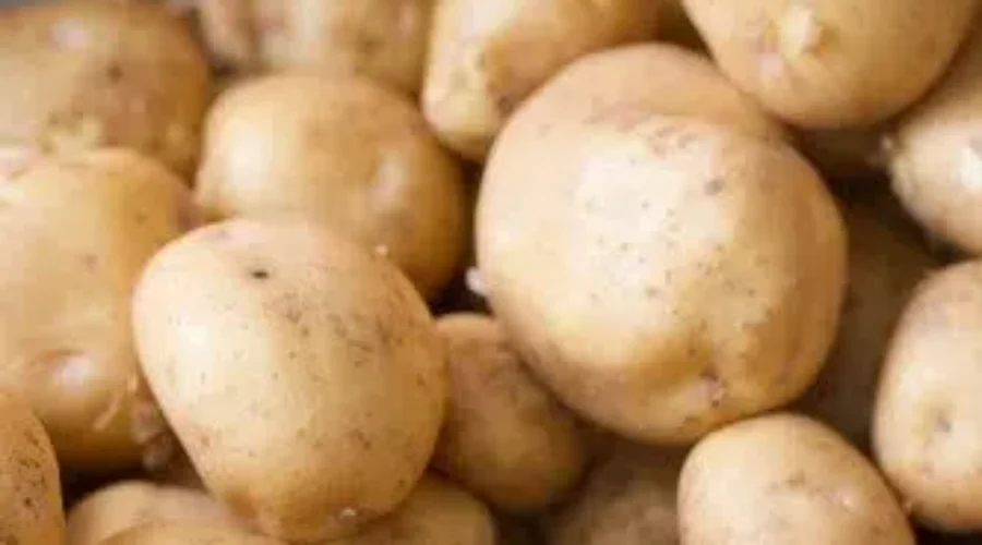 Multi-Million Dollar McCain Foods Expansion Will Create New Jobs For Grand Falls